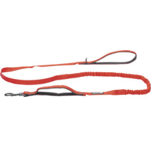 Orangefarbene Hundeleine mit flexibler Verlängerung