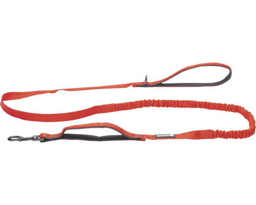 Orangefarbene Hundeleine mit flexibler Verlängerung