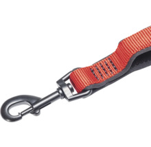 Hundeleine mit Karabinerhaken