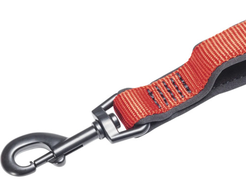 Hundeleine mit Karabinerhaken