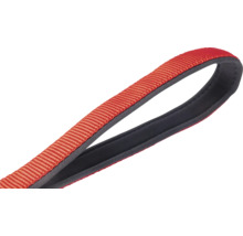 Hundeleine aus Nylon