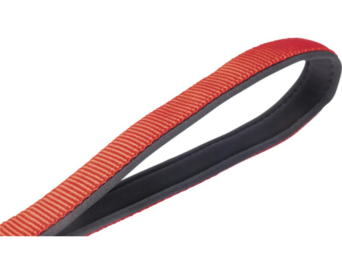 Hundeleine aus Nylon