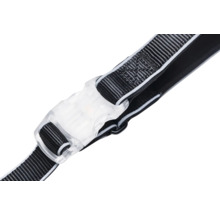 Detailansicht eines Hundegeschirrs mit transparentem Klickverschluss und Gurtband