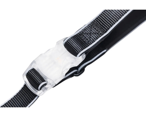 Detailansicht eines Hundegeschirrs mit transparentem Klickverschluss und Gurtband