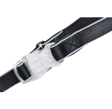 Detailansicht eines Hundehalsbandes mit transparentem Verschluss