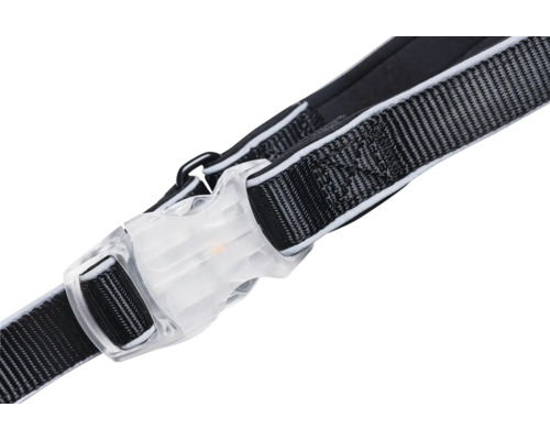 Detailansicht eines Hundehalsbandes mit transparentem Verschluss