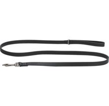 Schwarze Hundeleine mit Karabinerhaken