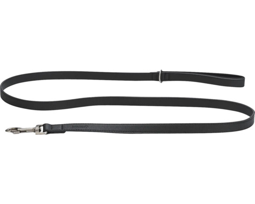 Schwarze Hundeleine mit Karabinerhaken