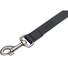 Hundeleine mit Karabinerhaken