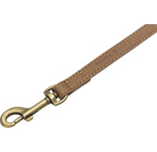 Beaztess Hundeleine mit Karabinerhaken