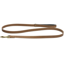 Hundeleine aus Leder