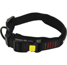 Schwarzes Hundehalsband mit Schnalle