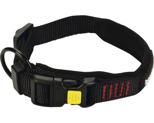 Schwarzes Hundehalsband mit Schnalle