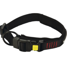 Hundehalsband aus Nylon mit Verschluss