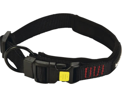 Hundehalsband aus Nylon mit Verschluss