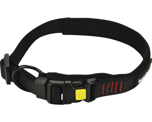 Hundehalsband mit Schnalle