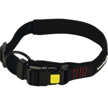 Schwarzes Hundehalsband mit Schnalle
