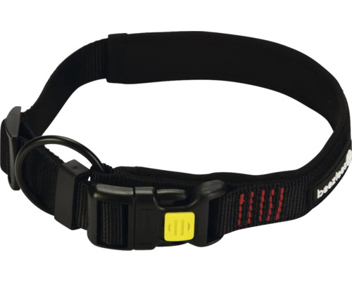 Schwarzes Hundehalsband mit Schnalle