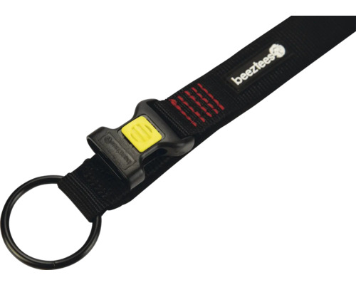 Bezauberndes schwarzes Hundehalsband mit Metallschnalle und Ring