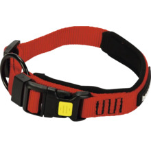 Hundehalsband mit Schnalle und D-Ring