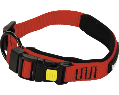 Hundehalsband mit Schnalle und D-Ring