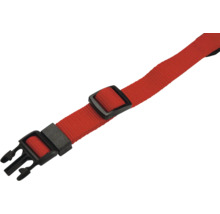 Roter Gurt mit schwarzem Verschluss