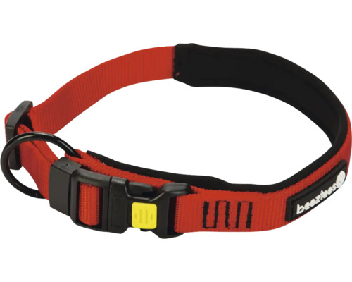 Hundehalsband mit Klickverschluss