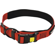 Hundehalsband aus Nylon mit Schnalle