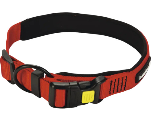 Hundehalsband aus Nylon mit Schnalle