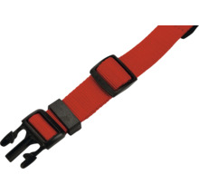 Roter Gurt mit schwarzer Schnalle