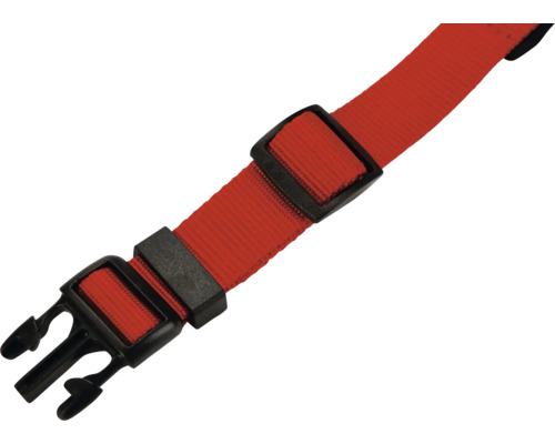 Roter Gurt mit schwarzer Schnalle