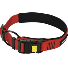 Hundehalsband aus Nylon mit Schnalle