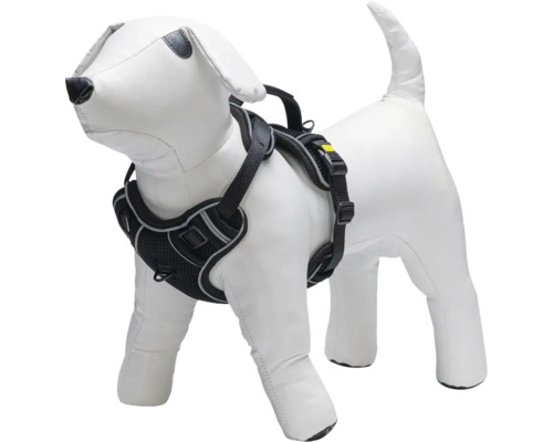 Hundegeschirr am Hundemodell