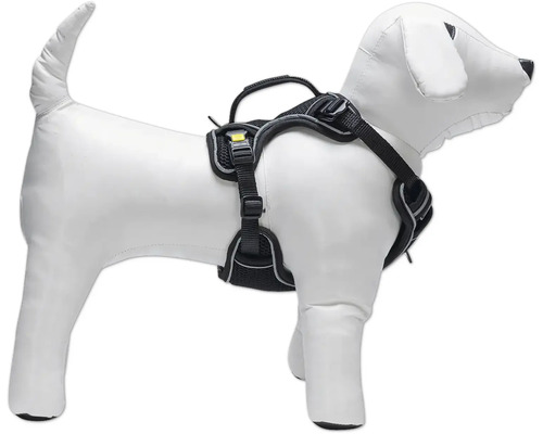 Hundegeschirr auf einer Hundepuppe