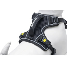 Beheizbares Hunde-Harness mit Logo der Marke Beetztees