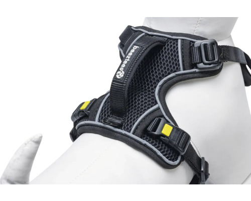 Beheizbares Hunde-Harness mit Logo der Marke Beetztees