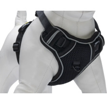 Schwarzes Hundegeschirr mit Netzmuster für Haustiere