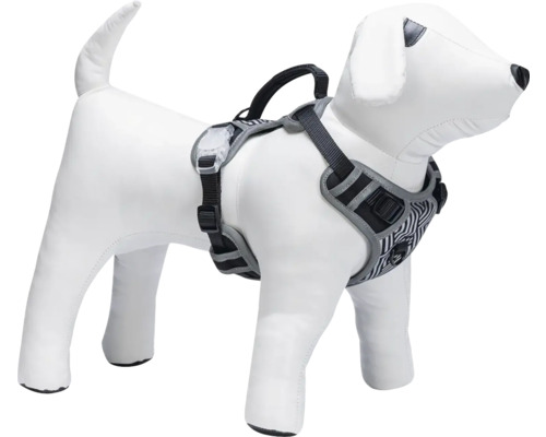 Hundegeschirr am Hundemodell