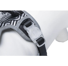 Detailansicht eines Hundegeschirrs mit Verschluss