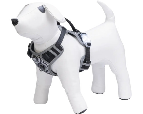 Hundegeschirr mit Streifenmuster und Leuchte