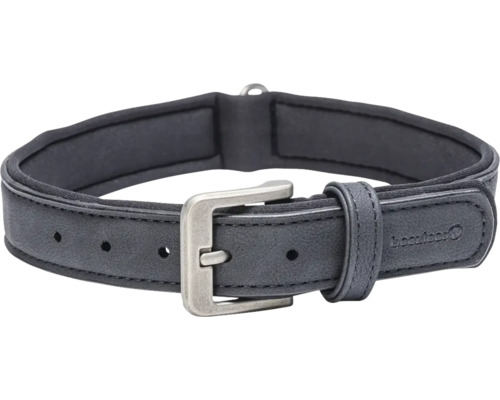 Hundehalsband mit Metallschnalle