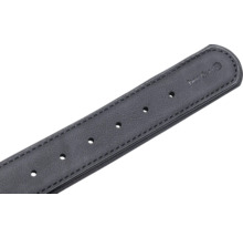 Beaztees Leder Hundehalsband