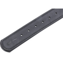 Beeztees Logo auf einem schwarzen Hundehalsband mit Löchern