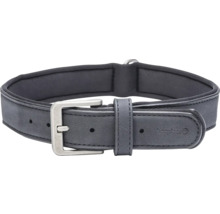 Hundehalsband aus Leder mit Metallschnalle