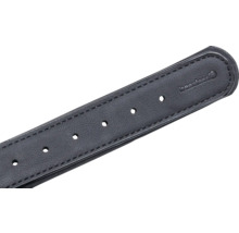 Beheizbare Hundehalsband Detailansicht