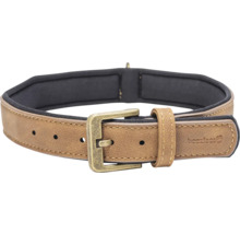 Hundehalsband aus Leder mit Metallschnalle