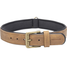 Beaztees Hundehalsband mit Schnalle