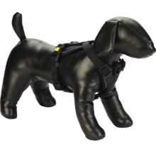 Schwarzes Hundegeschirr am Hundemodell