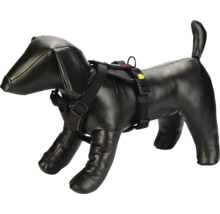 Hundepuppe mit schwarzem Hundegeschirr