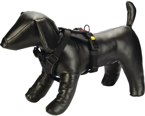 Hundepuppe mit schwarzem Hundegeschirr